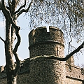 Tower Perspective